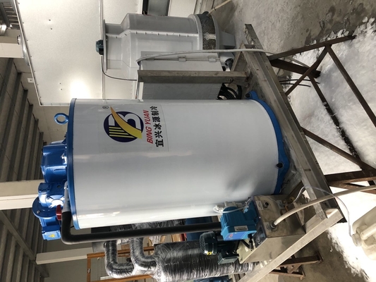 Frische haltene industrielle Flocken-Kühlbox-Maschine 1 2 3T 5 10 Tonne 15 20 30 40 Tonnen
