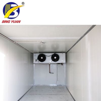 Solarenergie-containerisierter Kühlraum der Werbungs-120mm, Kühlraum-Nahrungsmittelspeicher