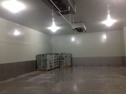 kühlere Kühlgeräte 20m2 R404A, kleiner Kühlraum